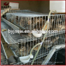 Cage d&#39;élevage de cailles en métal de prix usine pour la vente Philippines
